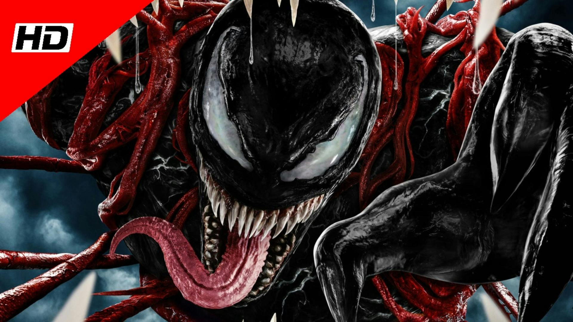 notino mont blanc explorer