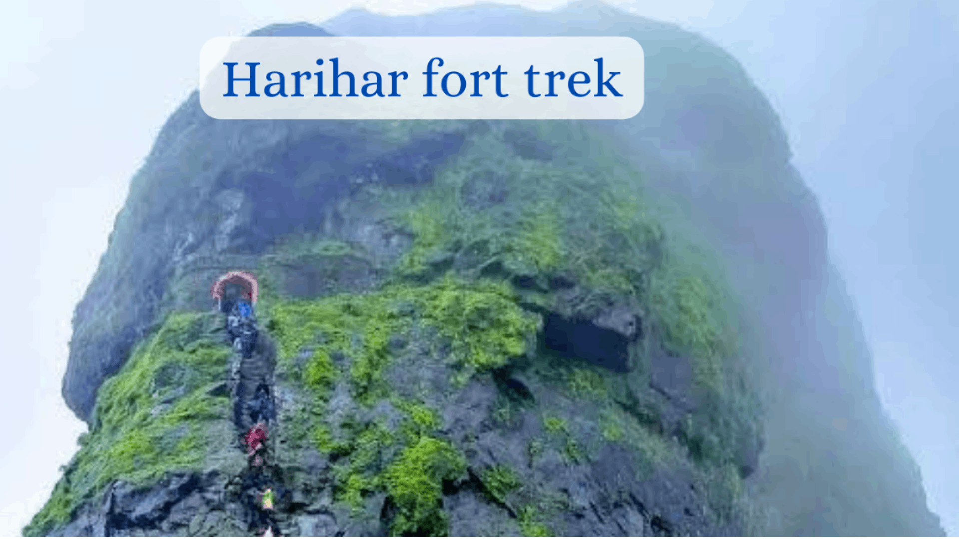 Harihar fort – Trek into the clouds – Out of office